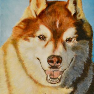 Painting of Husky brown white male
