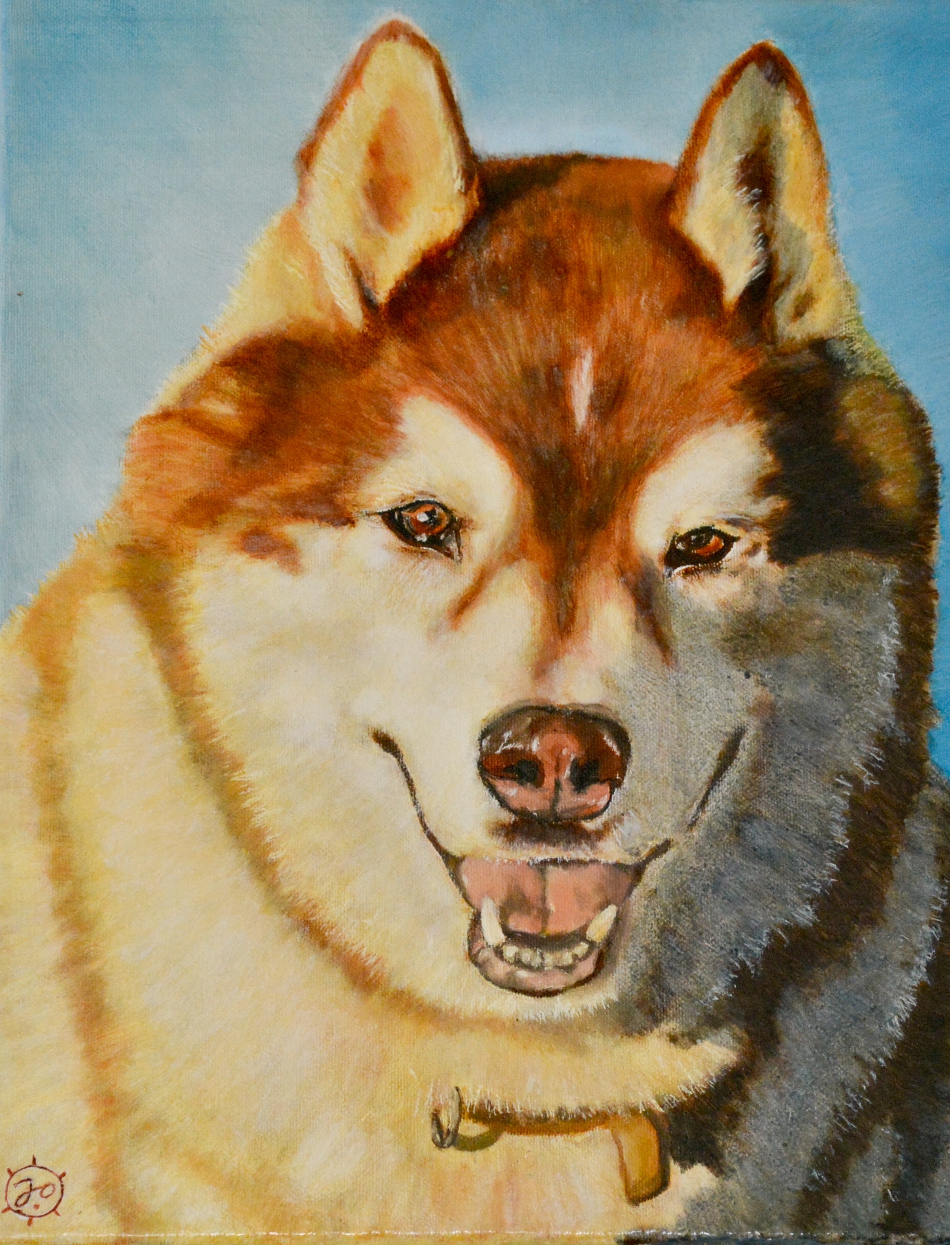 Painting of Husky brown white male