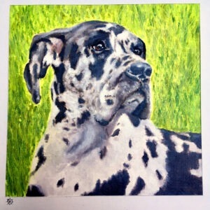 Oil Painting of Danish Dog spotted dark brown and white