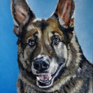 Painting of Malinois Sheperd dog male young